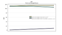 Finite Lived Intangible Assets Accumulated Amortization