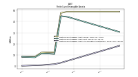 Finite Lived Intangible Assets Accumulated Amortization