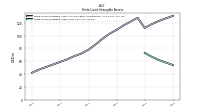 Finite Lived Intangible Assets Net