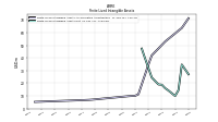Finite Lived Intangible Assets Net