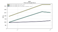 Finite Lived Intangible Assets Accumulated Amortization