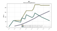 Finite Lived Intangible Assets Net