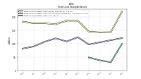 Finite Lived Intangible Assets Net