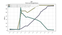 Finite Lived Intangible Assets Net