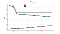 Finite Lived Intangible Assets Accumulated Amortization