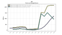 Finite Lived Intangible Assets Net