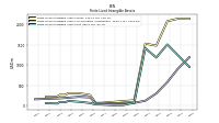 Finite Lived Intangible Assets Accumulated Amortization