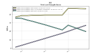 Finite Lived Intangible Assets Net