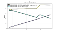 Finite Lived Intangible Assets Accumulated Amortization