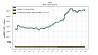 Intangible Assets Net Excluding Goodwill