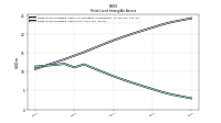 Finite Lived Intangible Assets Net