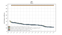 Common Stock Shares Issued