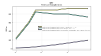 Finite Lived Intangible Assets Accumulated Amortization