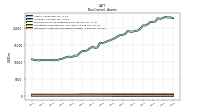 Intangible Assets Net Excluding Goodwill