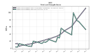 Finite Lived Intangible Assets Net