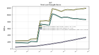 Finite Lived Intangible Assets Accumulated Amortization