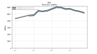 Long Term Debt