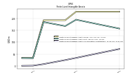 Finite Lived Intangible Assets Accumulated Amortization