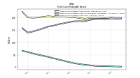 Finite Lived Intangible Assets Net