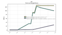 Finite Lived Intangible Assets Accumulated Amortization