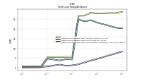 Finite Lived Intangible Assets Accumulated Amortization