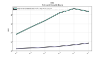 Finite Lived Intangible Assets Accumulated Amortization