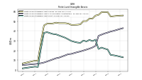 Finite Lived Intangible Assets Net