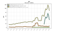 Deferred Income Tax Liabilities Net