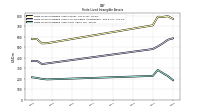 Finite Lived Intangible Assets Net