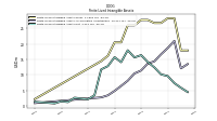 Finite Lived Intangible Assets Net