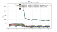 Lessee Operating Lease Liability Undiscounted Excess Amount