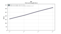 Finite Lived Intangible Assets Accumulated Amortization