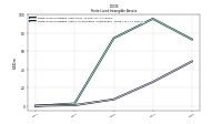 Finite Lived Intangible Assets Accumulated Amortization