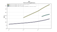Finite Lived Intangible Assets Accumulated Amortization