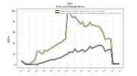 Finite Lived Intangible Assets Net