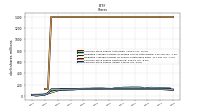 Common Stock Shares Issued