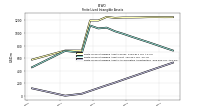 Finite Lived Intangible Assets Accumulated Amortization