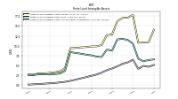 Finite Lived Intangible Assets Accumulated Amortization