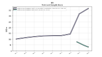 Finite Lived Intangible Assets Net