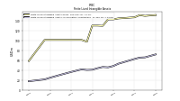 Finite Lived Intangible Assets Accumulated Amortization