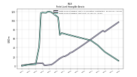 Finite Lived Intangible Assets Net