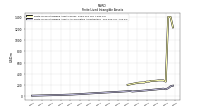 Finite Lived Intangible Assets Accumulated Amortization