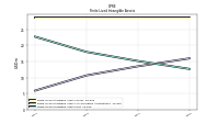 Finite Lived Intangible Assets Accumulated Amortization