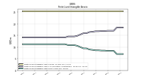 Finite Lived Intangible Assets Net