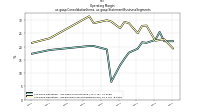 Operating  Marginus-gaap: Consolidation Items, us-gaap: Statement Business Segments