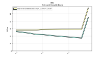 Finite Lived Intangible Assets Net
