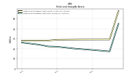 Finite Lived Intangible Assets Accumulated Amortization