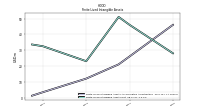 Finite Lived Intangible Assets Net