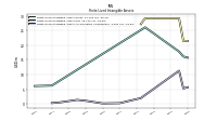 Finite Lived Intangible Assets Accumulated Amortization