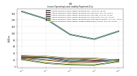 Lessee Operating Lease Liability Undiscounted Excess Amount